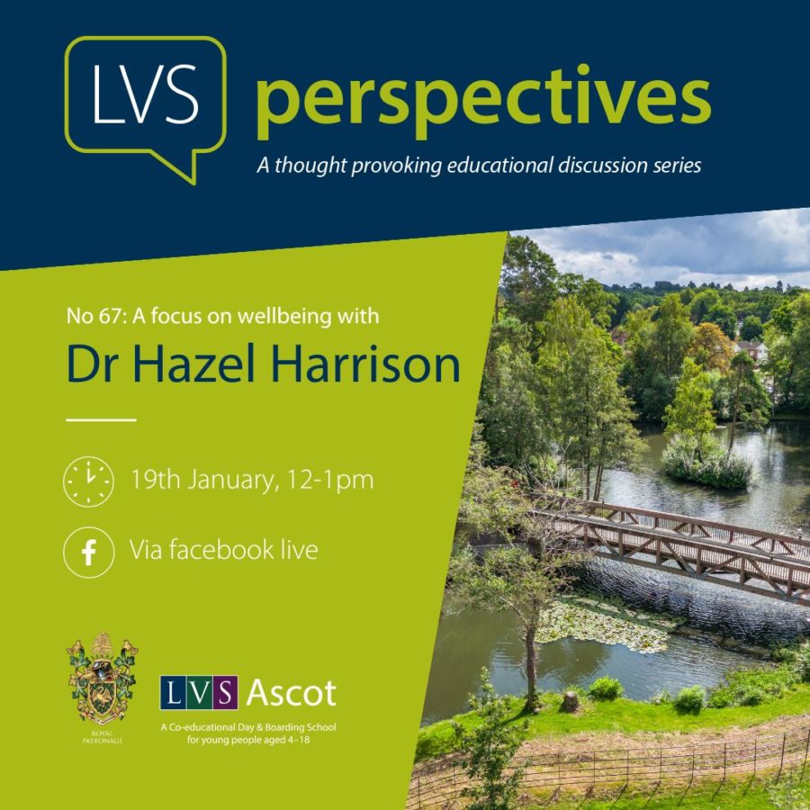 lvs perspectives image