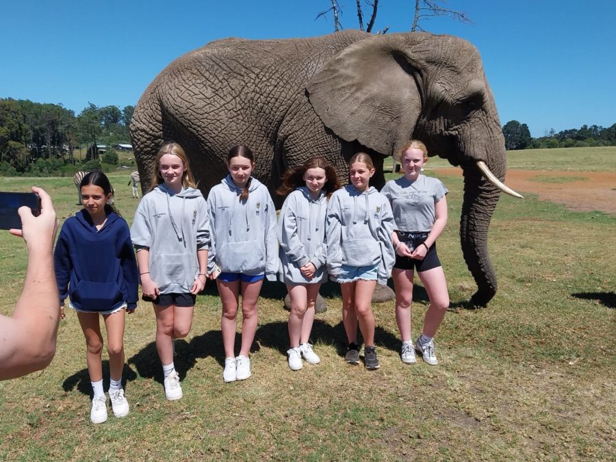lvs ascot south africa