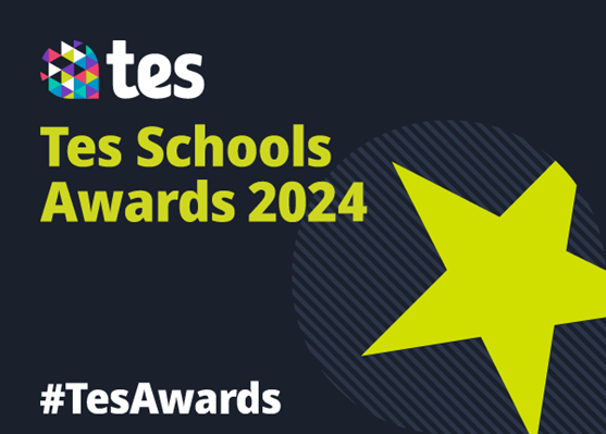 TES Awards generic logo