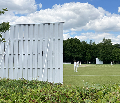 lvs ascot cricket