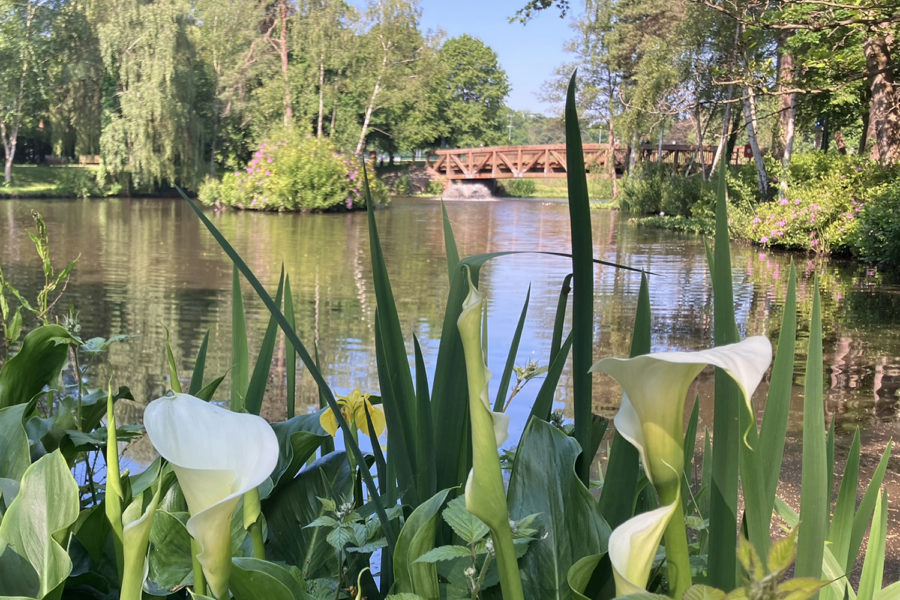 lvs ascot lake