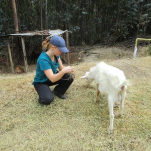 LVS Ascot Colombia trip