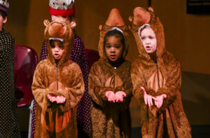lvs ascot nativity