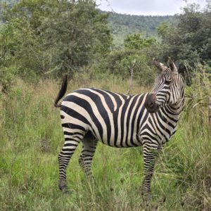 Rwanda 2025