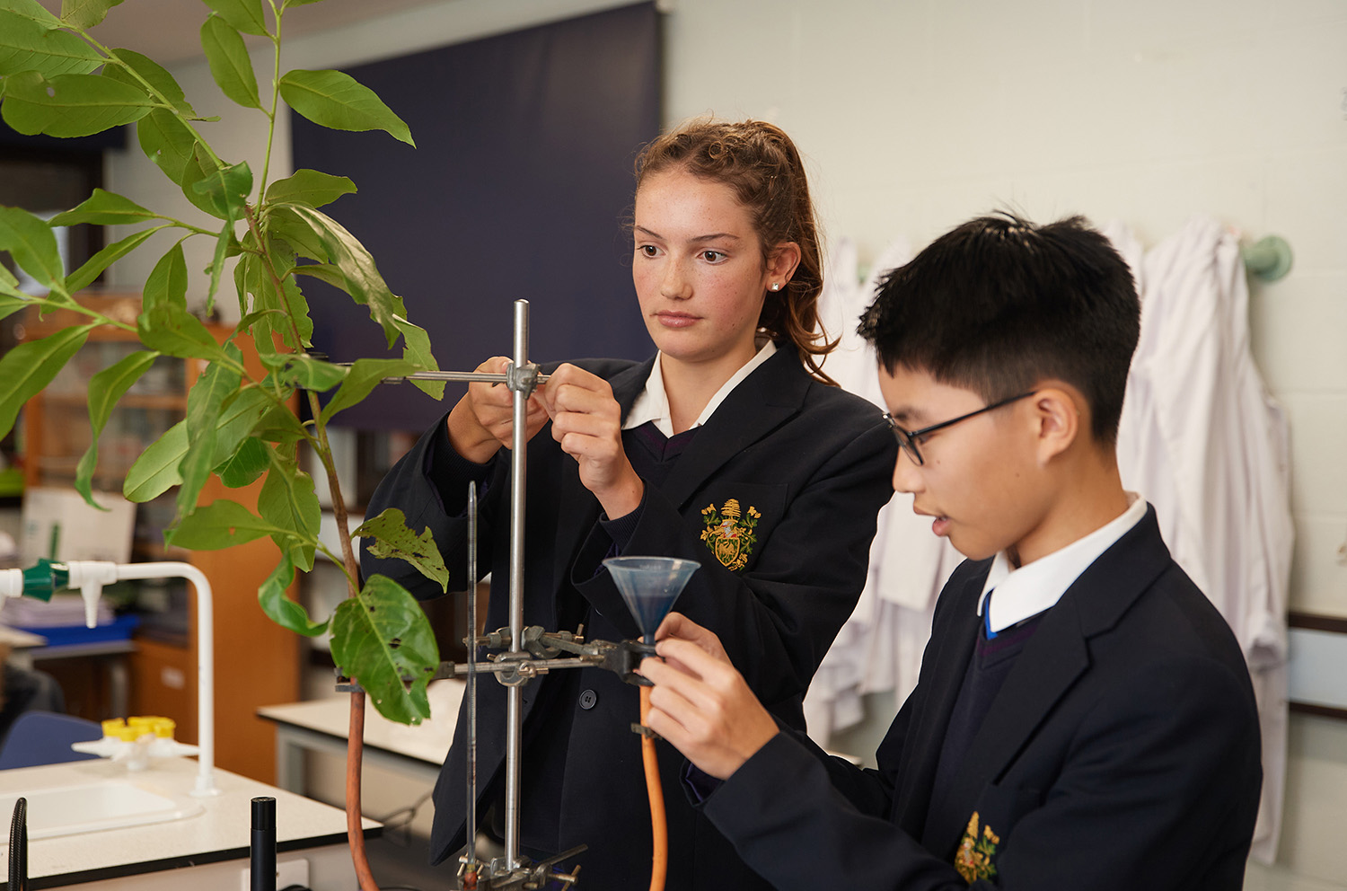 STEM Day