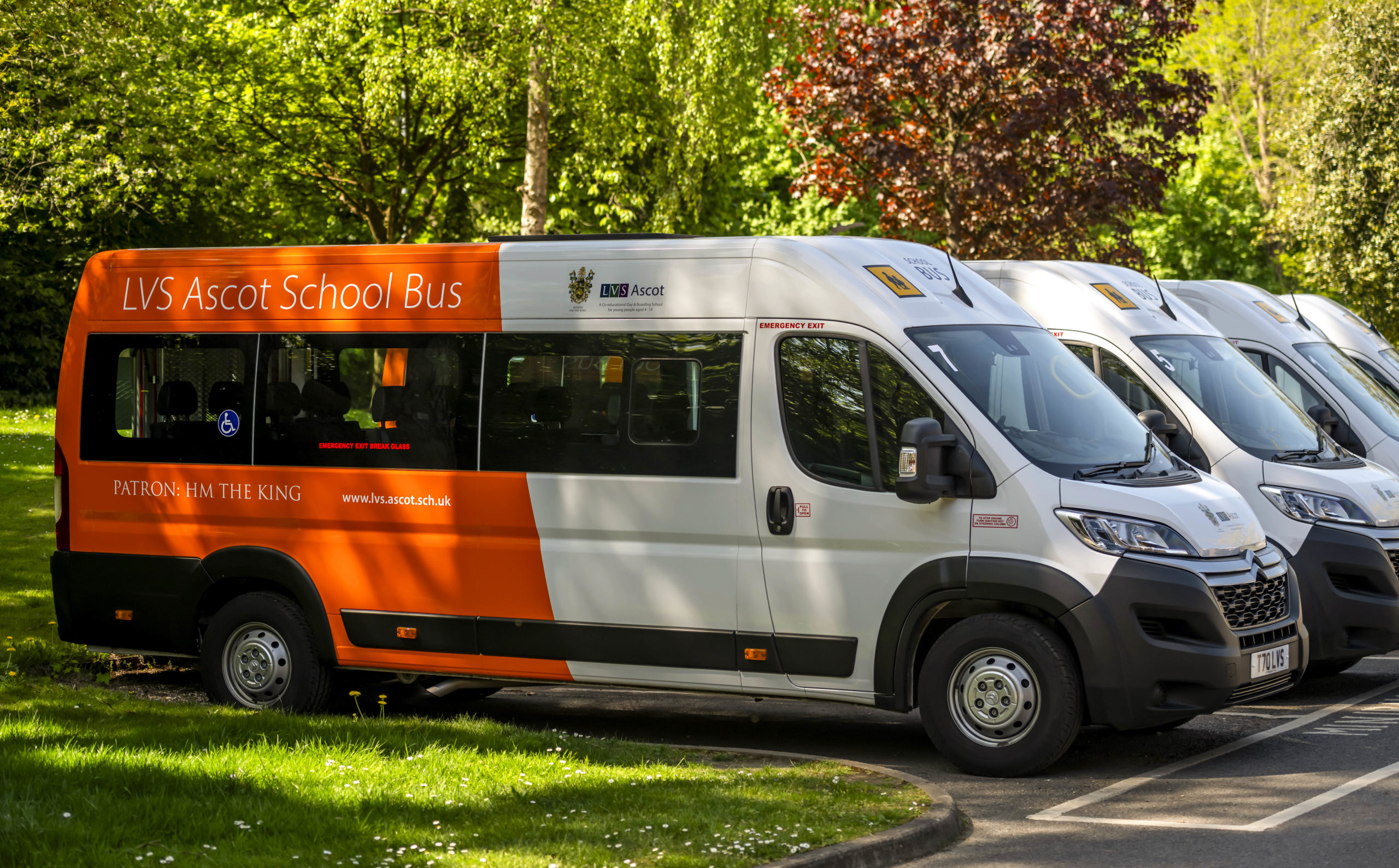 lvs ascot bus